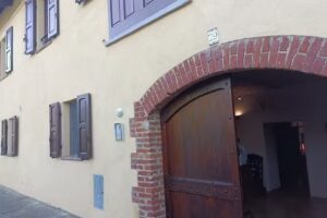 La Volpe tra le Vigne