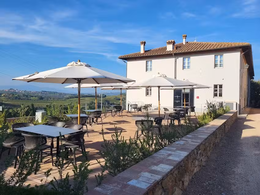 Laqua Vineyard