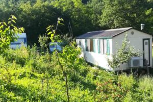 L’Arca di Noè Agricamp’ – Agri – Campeggio Gombola di Polinago Modena CIN IT036032b5XQRXYGSS