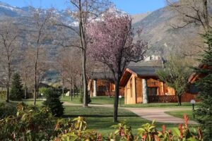 Lazy Bee camping village – La Pinsa