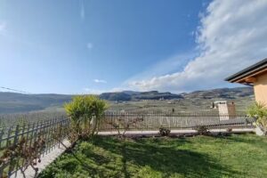 LE BIGNELE – Soc. Agr Aldrighetti Luigi, Angelo e Nicola