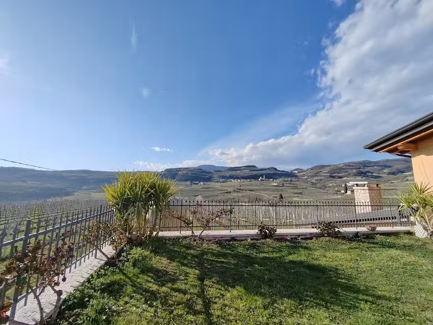 LE BIGNELE – Soc. Agr Aldrighetti Luigi, Angelo e Nicola