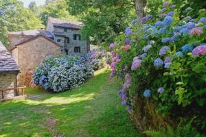 Le Casette del Doccione di Migliorini Lorenzo e C. Snc