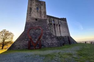 Le chianine dei Tognoli