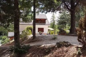 Le Conifere Casa Vacanze