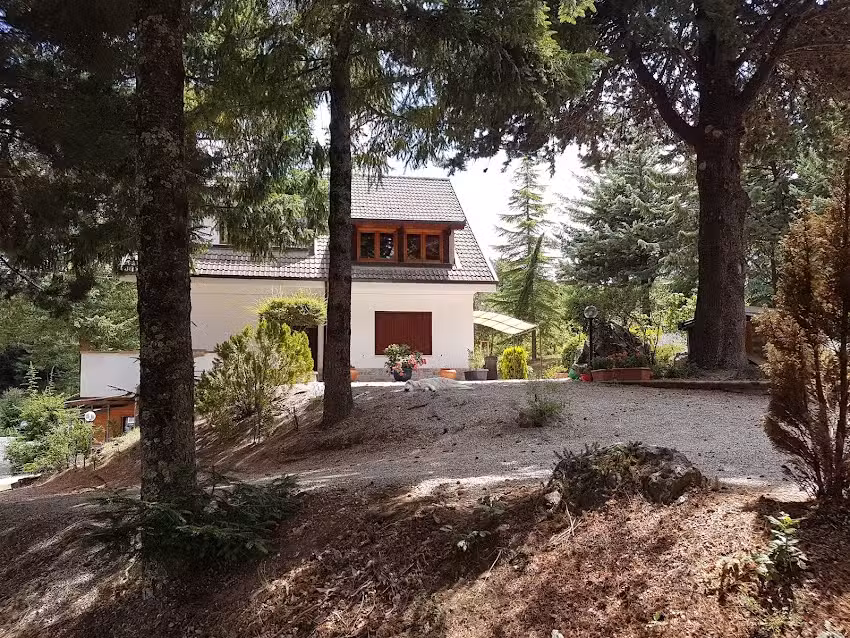 Le Conifere Casa Vacanze