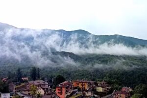 Le Conifere Garden Residence