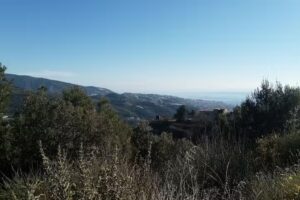 Le Fontane organic oriented farm B&B