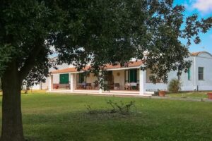 Le Matine di San Teodoro