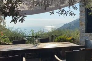 Le Palme attività chiusa