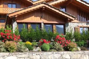 Le Renard d’Introd