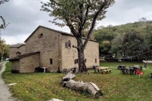 Le Selve Castel Del Rio Complesso Turistico