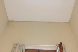 Le stanze did Carla! Bagno privato, cucina in comune