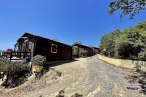 Le Terrazze del Geco