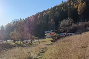 LO SCOIATTOLO s.a.s. di Del Favero Elena & C. Loc. Al Mas Coroi 2, 32044 Tai