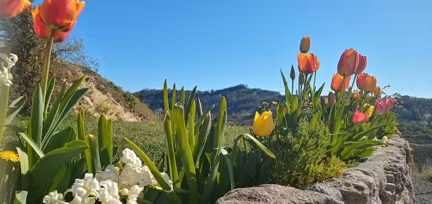 LOCAZIONE TURISTICA IL BRICCHETTO