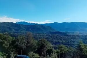 Loncanda Moderna Carlambroeus