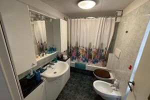 Lory tra monti e laghi