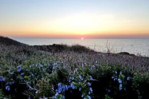 Lu Salentu White House