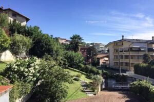 Madonna dell’Uva Cantina Vigneto