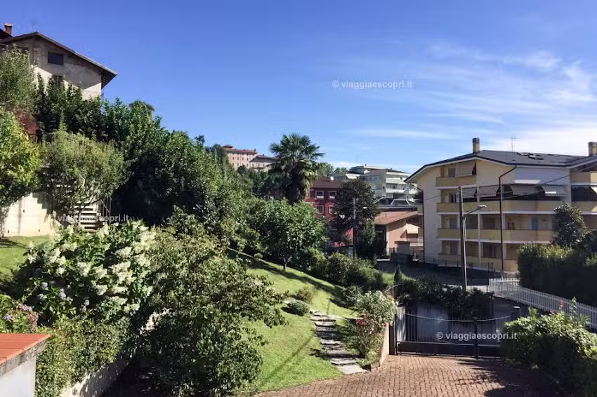 Madonna dell’Uva Cantina Vigneto