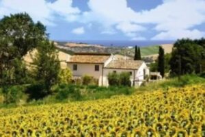 Madonnabruna – Agriturismo