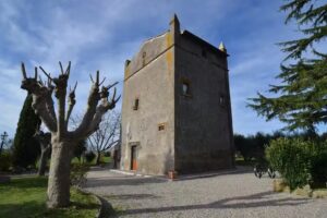 Magica Torre Medievale