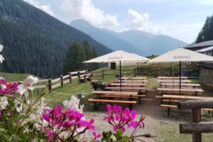 Malga Fratte Val di Rabbi