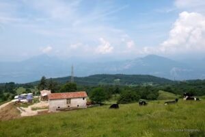 Malga Traure – Agriturismo
