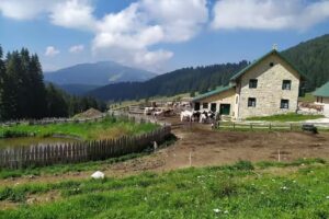 Malga Vallorsara Agriturismo