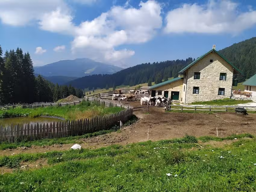 Malga Vallorsara Agriturismo