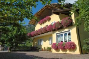 Mandlhof (Uab in Tramin)