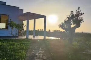 Martina’s Vineyard