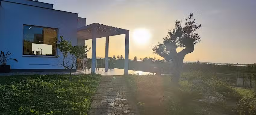 Martina’s Vineyard