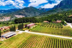 Masseria Del Cuccaro Osteria