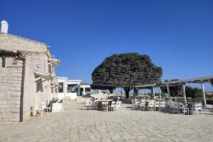 Masseria Torre Di Nebbia