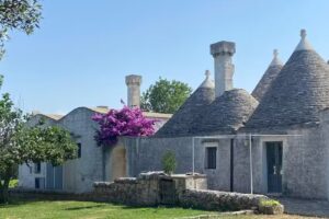 Masseria Trulli e Vigne