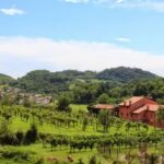 Mazzeracca Azienda Agrituristica