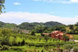 Mazzeracca Azienda Agrituristica