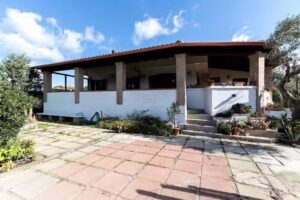 Mi casa es tu casa 79