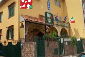 Miss Emily Vesuvio B&B