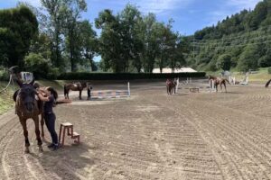 Monteoro Horse Village