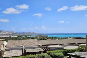 Moon Valley la pelosa