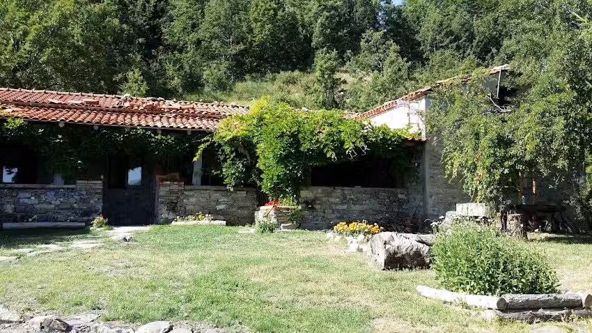 Mountain Lodge Accommodation