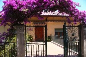 Nelly’s Guest House