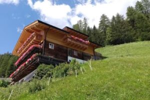 Niederhaushof – Ferien auf dem Bauernhof