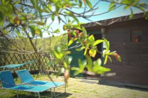 Night in the Wood Sorbo