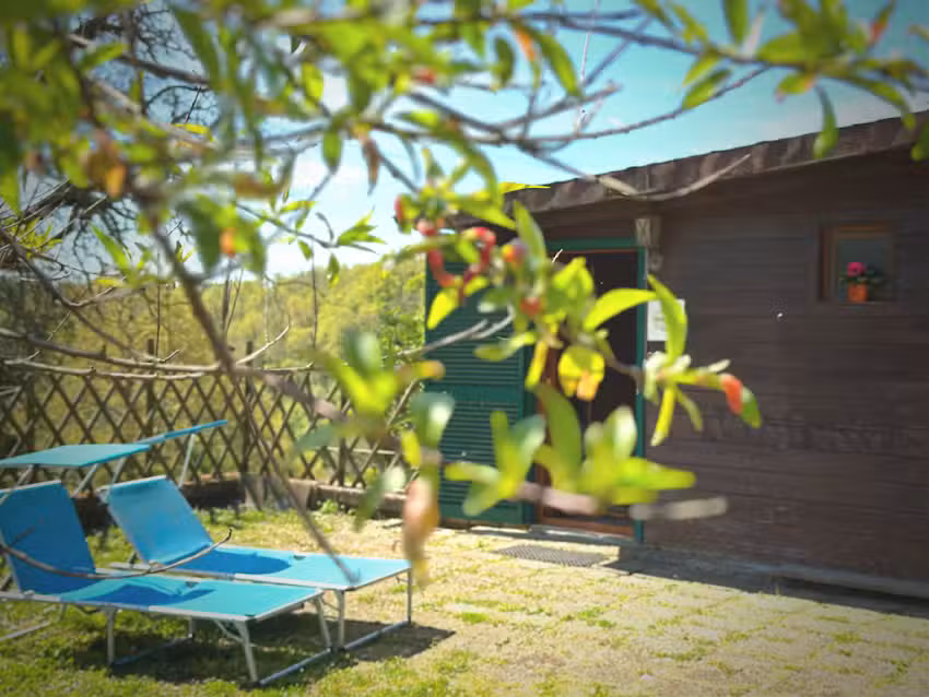 Night in the Wood Sorbo