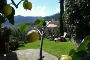 NonnaMora Bed&Breakfast