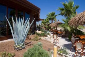 Oasi Beach Hotel Vieste